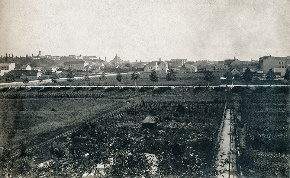 Deželićeva - Republike Austrije 1887. godine